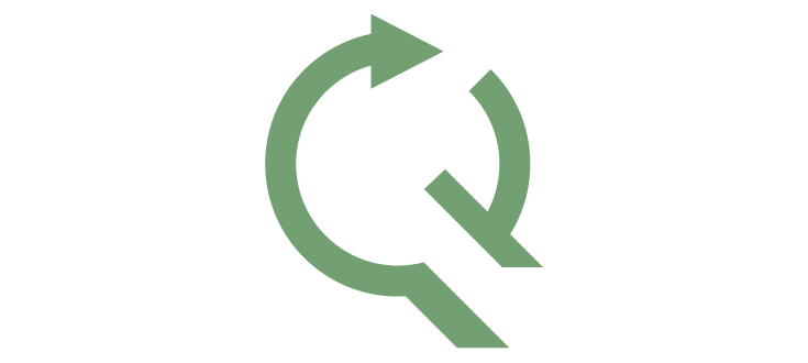 Qoverse Logo
