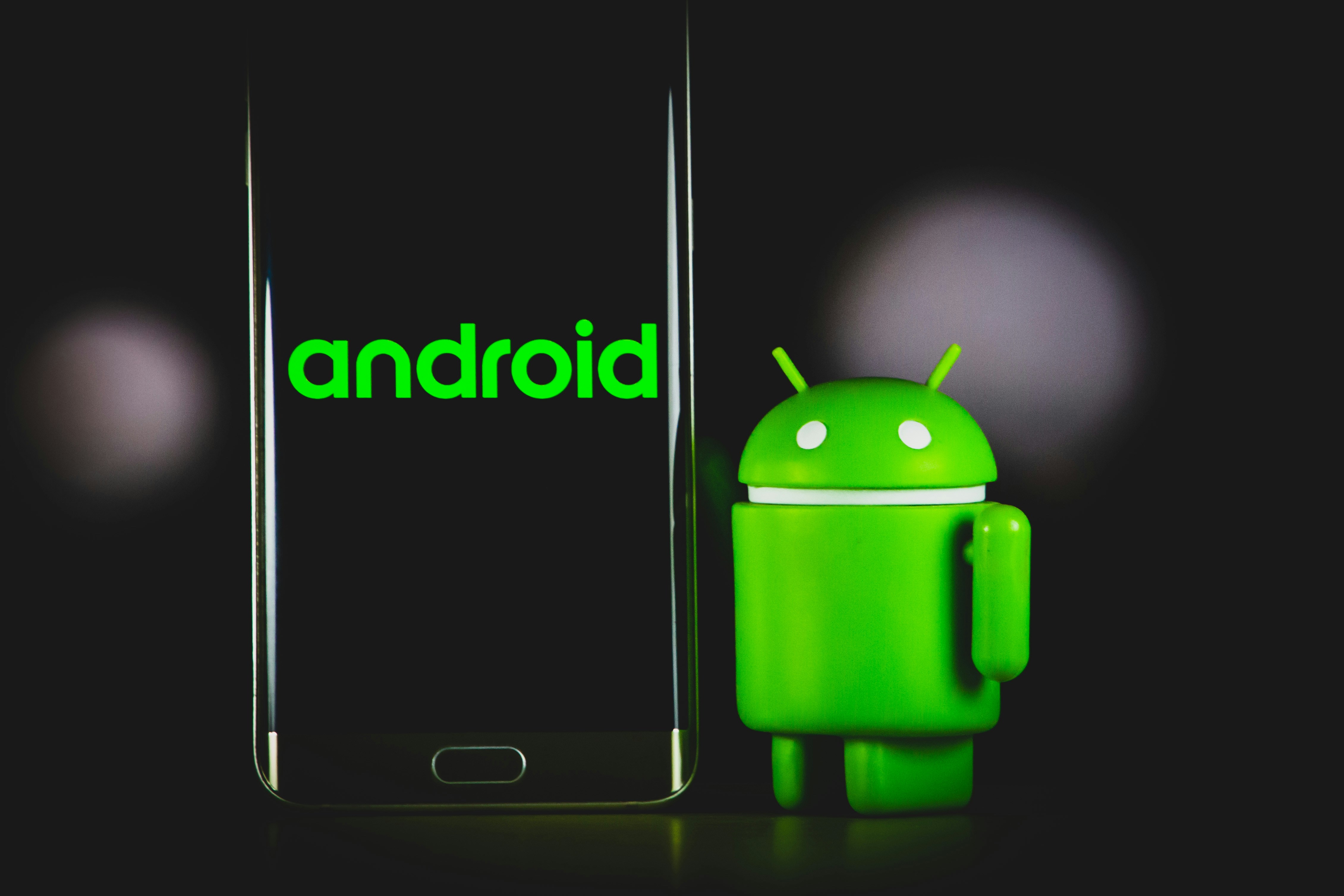 Web & Mobile Development Services